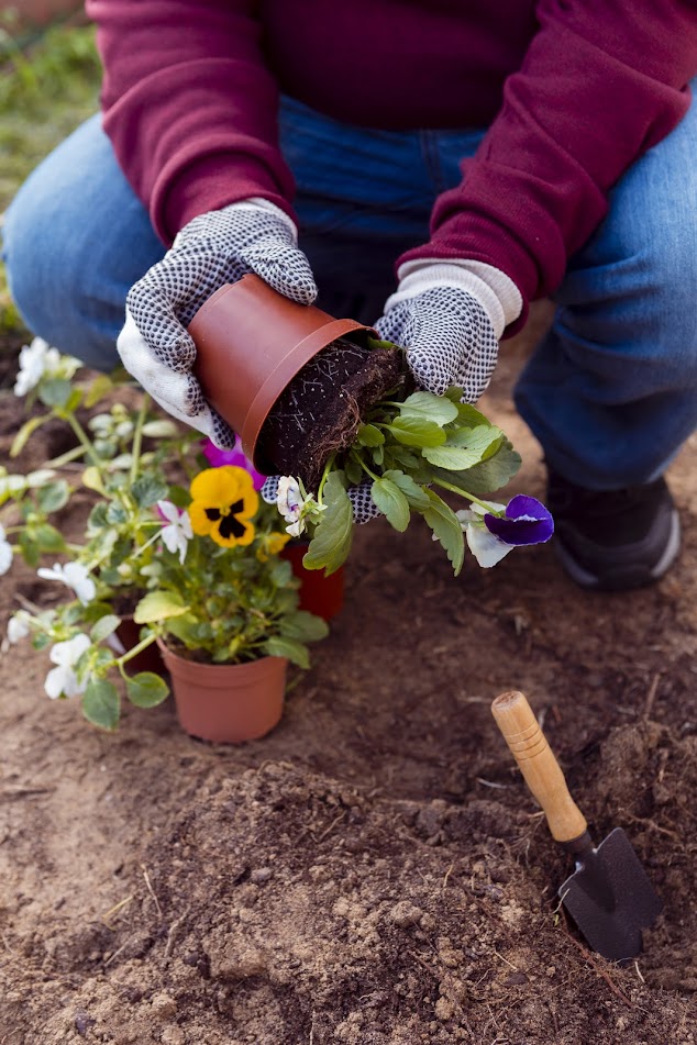 Porządkowanie terenu